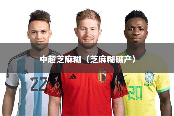 中超芝麻糊(芝麻糊破产)