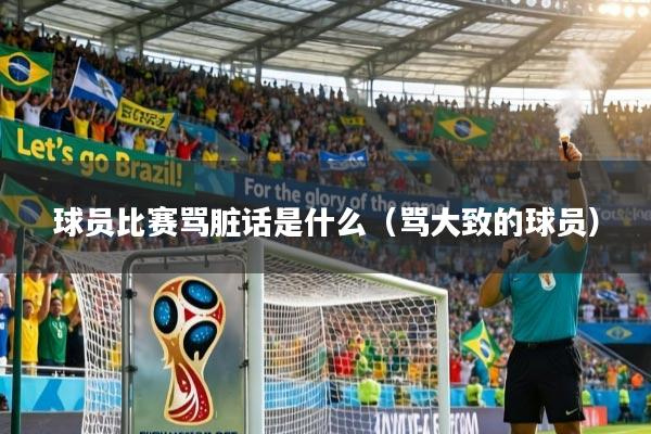 球员比赛骂脏话是什么（骂大致的球员）