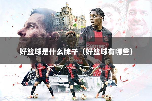 好篮球是什么牌子（好篮球有哪些）
