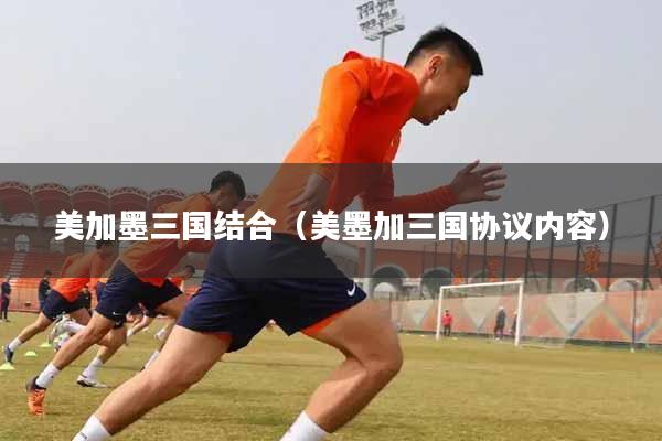 美加墨三国结合（美墨加三国协议内容）