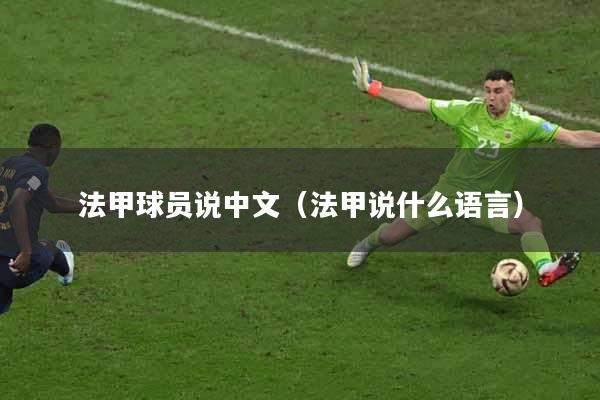 法甲球员说中文（法甲说什么语言）